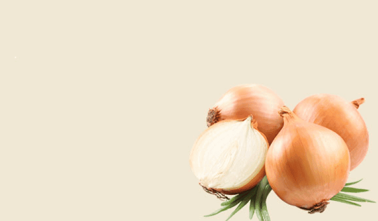 Everyday Fresh & Clean Products